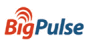 BigPulse Online Voting Software