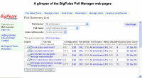 Online surveys, opinion polls, industry awards, online elections