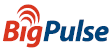 BigPulse Logo